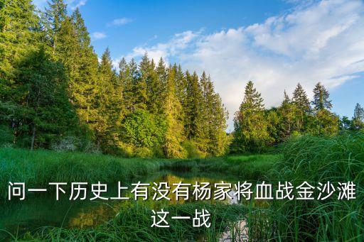 問一下歷史上有沒有楊家將血戰(zhàn)金沙灘這一戰(zhàn)
