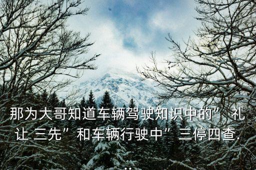 禮讓三先,杭州公交司機如何"禮讓三先?