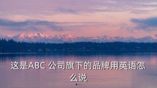 abc公司,景星公司1997年在中國設(shè)立衛(wèi)生巾廠商