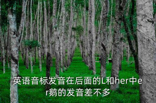 英語音標(biāo)發(fā)音在后面的L和her中er鵝的發(fā)音差不多