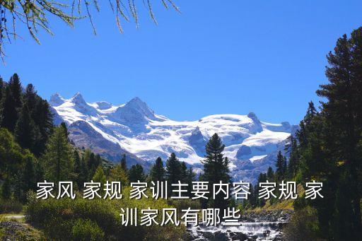 家規家訓,國有國法，家有家法》構成家風