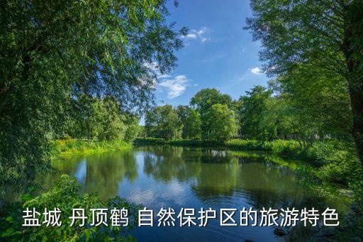 丹頂鶴自然保護區(qū),中國丹頂鶴自然保護區(qū)成為珍稀鶴類保護基地