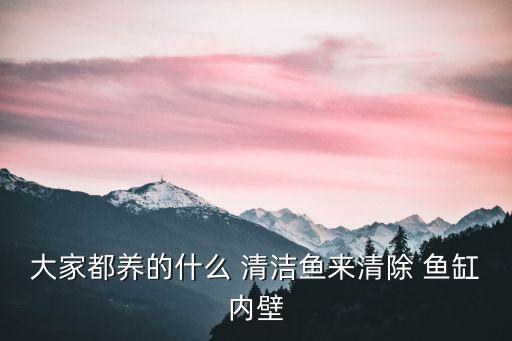 大家都養的什么 清潔魚來清除 魚缸內壁
