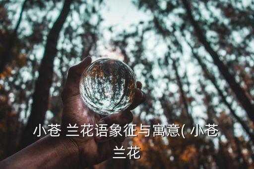 小蒼 蘭花語象征與寓意( 小蒼 蘭花