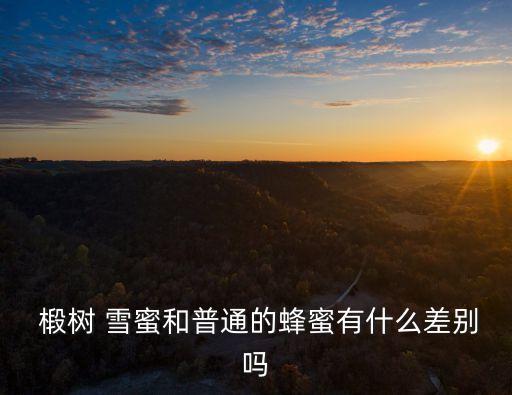 椴樹(shù)雪蜜的功效,俄羅斯盛產(chǎn)樹(shù)雪蜜具有美容養(yǎng)顏功效