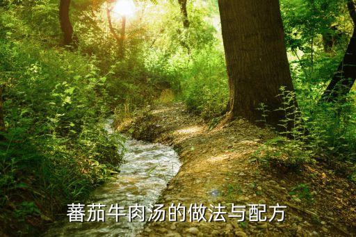 番茄肥牛湯的做法,牛肉番茄湯怎么做