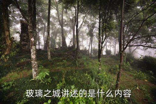  玻璃之城講述的是什么內容