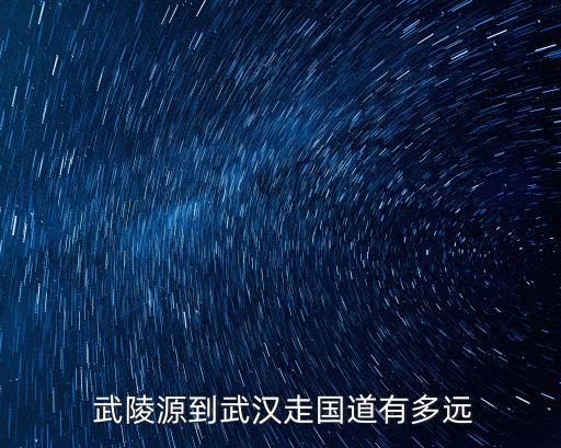  武陵源到武漢走國道有多遠