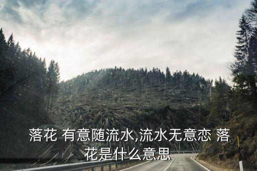  落花 有意隨流水,流水無(wú)意戀 落花是什么意思