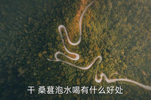 桑葚干的好處,桑葚干糧營養豐富又有助緩解眼疲勞癥狀
