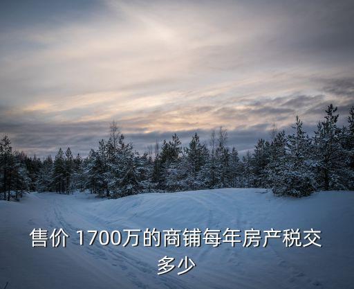 1700萬,商鋪出租或轉租的公司應承擔以下稅費