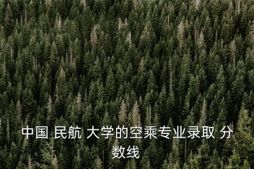 中國 民航 大學的空乘專業錄取 分數線