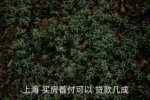  上海 買房首付可以 貸款幾成