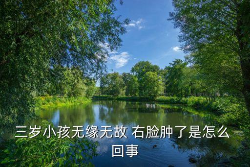 三歲小孩無緣無故 右臉腫了是怎么 回事