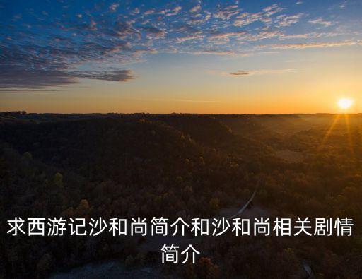 沙和尚簡介，沙和尚簡介一下10字