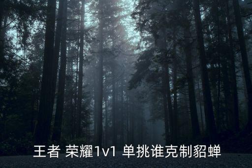  王者 榮耀1v1 單挑誰(shuí)克制貂蟬