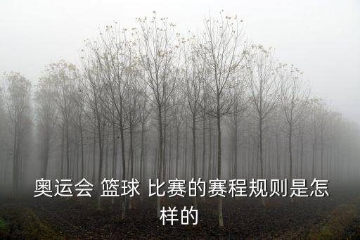  奧運會 籃球 比賽的賽程規則是怎樣的