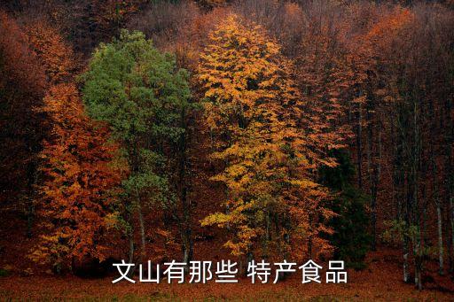 文山特產,文山特色小吃:醬油卷餅文山最正宗
