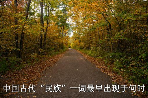 王九州,最早文獻是民族一詞出自東晉道士張歡著《易夏倫》一書
