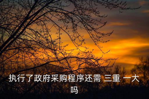 三重一大會議紀要,三重一大決策制度下的政府采購程序須遵循