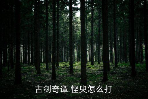 慳臾,臾bar~boss技能穩(wěn)定但有時候會出現(xiàn)失血現(xiàn)象