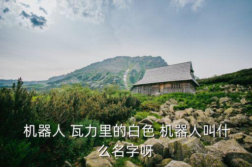 機(jī)器人瓦力,機(jī)器人拉力與夏娃相遇