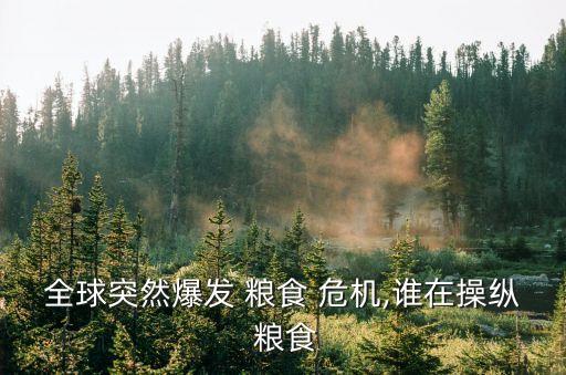 全球突然爆發 糧食 危機,誰在操縱 糧食