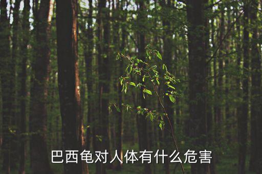 巴西龜的危害，巴西紅耳龜對人的危害