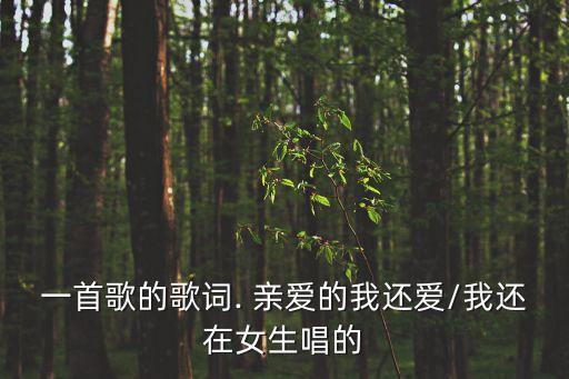 一首歌的歌詞. 親愛的我還愛/我還在女生唱的