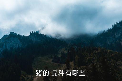 豬品種,外族入侵品種越來越少中國豬只有100多頭
