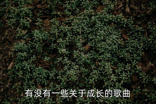 關(guān)于成長的歌曲，有沒有一些關(guān)于成長的歌曲