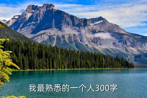 我最熟悉的一個(gè)人300字