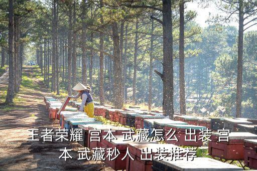 宮本武藏出裝,宮本武藏傷害排行榜出裝:誰得大招就立刻被黑