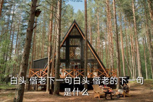 白頭 偕老下一句白頭 偕老的下一句是什么