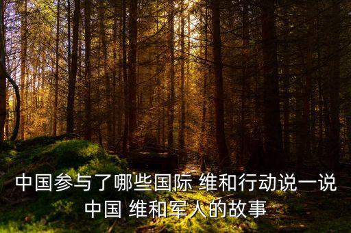 維和行動,聯合國維和行動:監督中東停火和撤軍