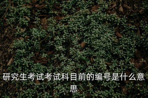 考研考生編號含義，研究生考試考試科目前的編號是什么意思