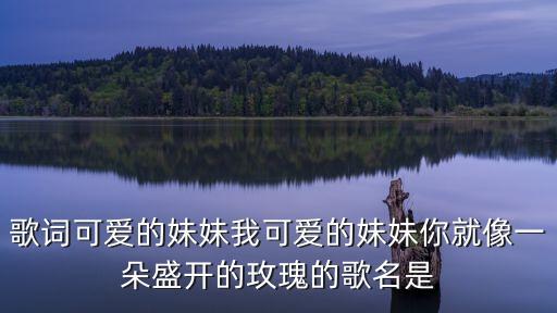 我可愛的妹妹，我可愛的妹妹50個字的作文怎么寫