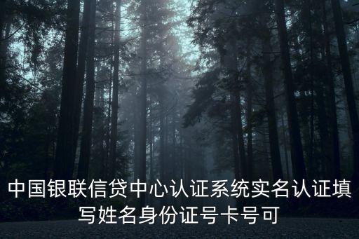 信貸中心，中國銀聯信貸中心認證系統實名認證填寫姓名身份證號卡號可