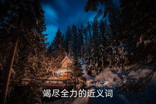 竭盡全力的近義詞