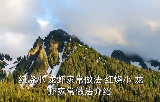 紅燒龍蝦的做法,羅士頓大龍蝦肉可自己動手解饞!