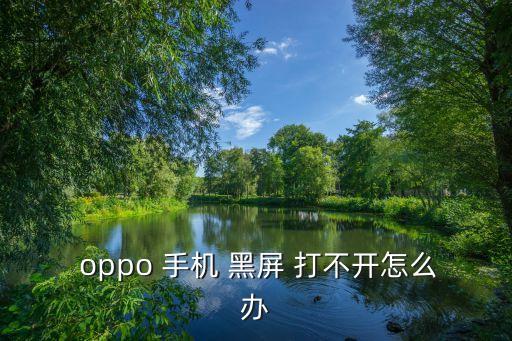 oppo手機(jī)黑屏打不開(kāi)怎么辦,輸入密碼后可恢復(fù)系統(tǒng)設(shè)置!