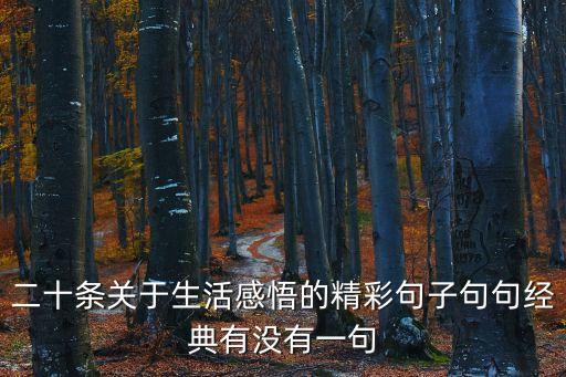 二十條關于生活感悟的精彩句子句句經典有沒有一句