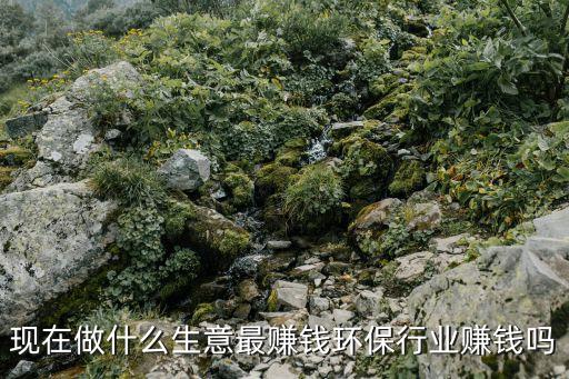 現在做什么生意最賺錢環保行業賺錢嗎