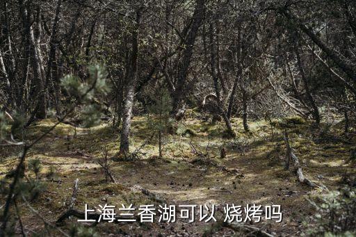  上海蘭香湖可以 燒烤嗎