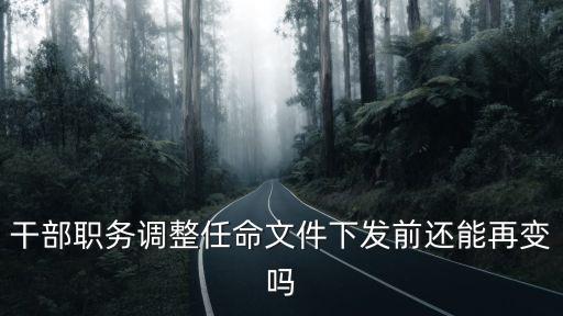 干部職務(wù)調(diào)整任命文件下發(fā)前還能再變嗎