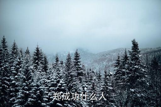 延平王,李詠八年八月封延平王鄭成功拒絕封