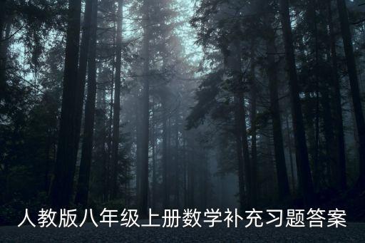 人教版八年級(jí)上冊(cè)數(shù)學(xué)補(bǔ)充習(xí)題答案
