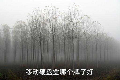 移動(dòng)硬盤盒，移動(dòng)硬盤盒 是干什么用的