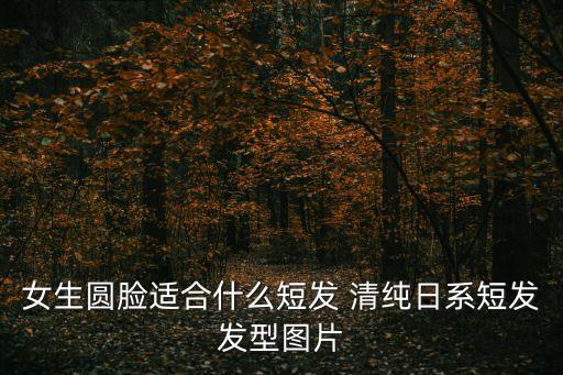 女生圓臉適合什么短發(fā) 清純?nèi)障刀贪l(fā)發(fā)型圖片