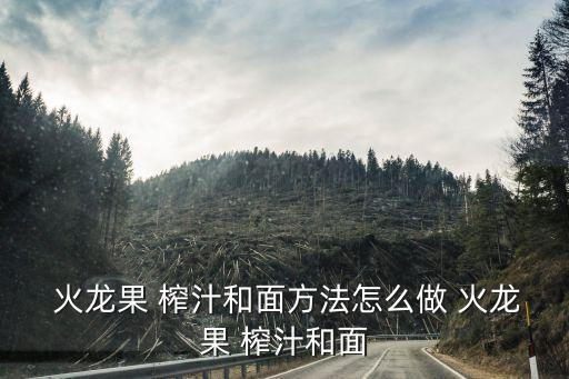  火龍果 榨汁和面方法怎么做 火龍果 榨汁和面